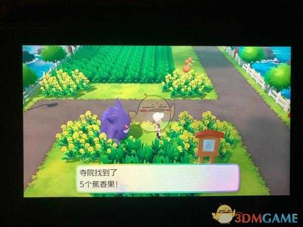 《精灵宝可梦LetsGo皮卡丘伊布》17号道路全浆果位置指南