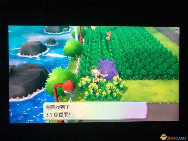 《精灵宝可梦LetsGo皮卡丘伊布》全隐藏道具位置一览