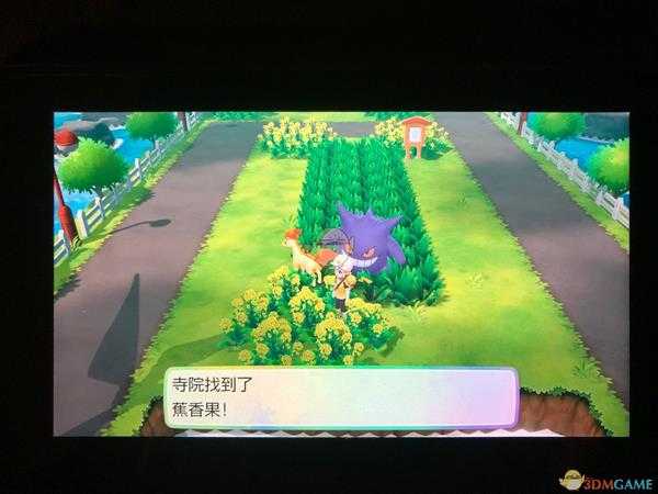 《精灵宝可梦LetsGo皮卡丘伊布》全隐藏道具位置一览