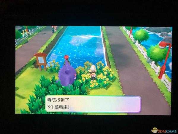 《精灵宝可梦LetsGo皮卡丘伊布》全隐藏道具位置一览