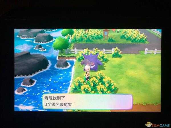 《精灵宝可梦LetsGo皮卡丘伊布》全隐藏道具位置一览