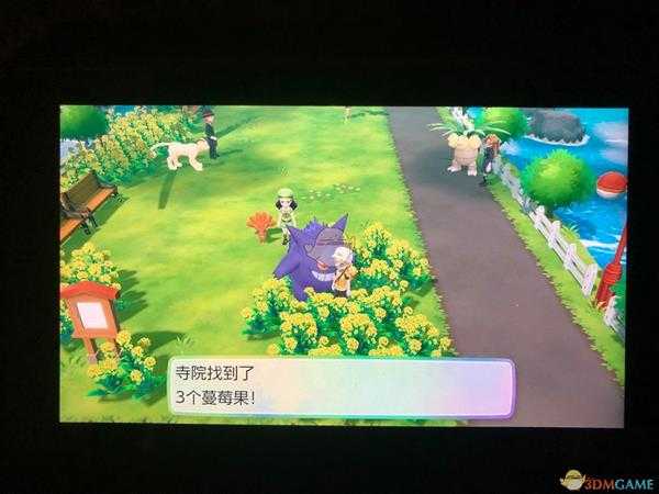 《精灵宝可梦LetsGo皮卡丘伊布》全隐藏道具位置一览