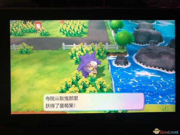 《精灵宝可梦LetsGo皮卡丘伊布》全隐藏道具位置一览