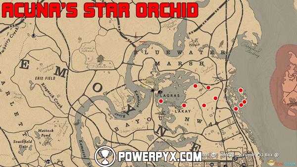 《荒野大镖客2》阿库尼亚星兰采集位置介绍