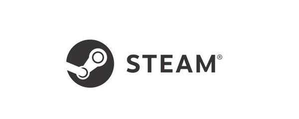 steam9位交易号在哪看