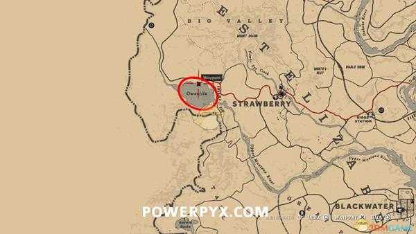 《荒野大镖客2》黄嘴潜鸟图鉴一览