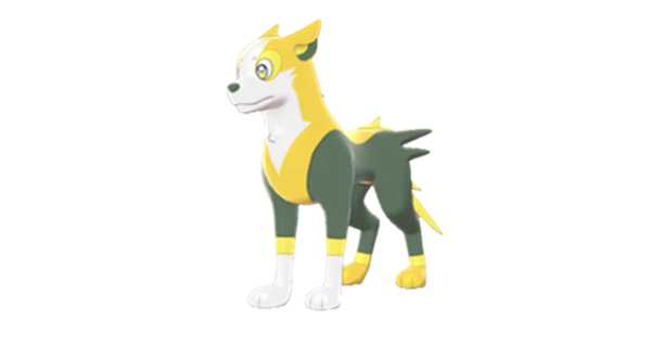 《宝可梦:剑/盾》逐电犬双打配招
