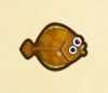 《集合啦！动物森友会》鱼图鉴