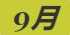 《集合啦！动物森友会》白粉蝶图鉴
