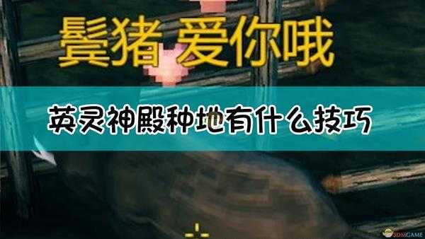 《Valheim:英灵神殿》超详细养猪指南