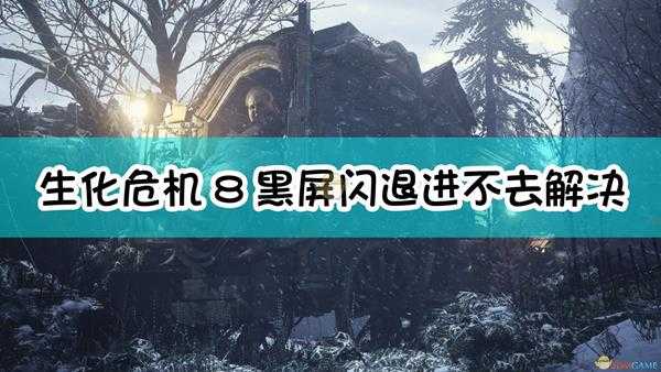 《生化危机8:村庄》黑屏闪退进不去解决方法介绍