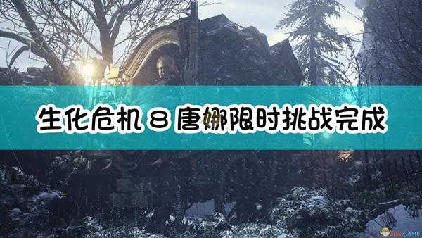 《生化危机8:村庄》唐娜限时挑战完成心得