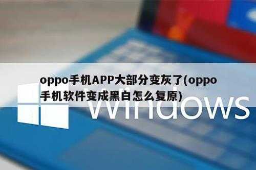 oppo手机APP大部分变灰了(oppo手机软件变成黑白怎么复原)