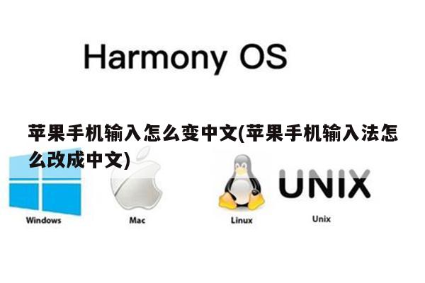 苹果手机输入怎么变中文(苹果手机输入法怎么改成中文)