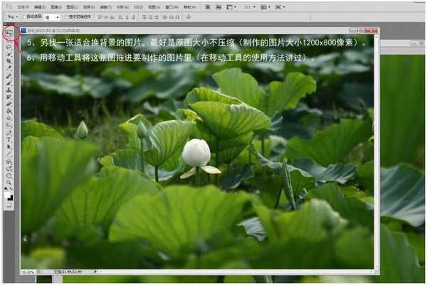 Photoshop为荷花图片简单虚化背景突出主体