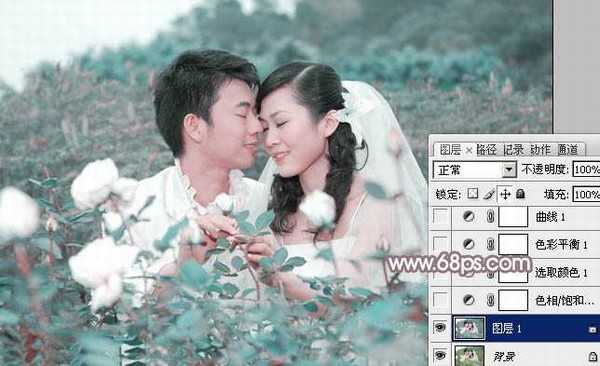 Photoshop为玫瑰园婚照调制出蓝紫中性色