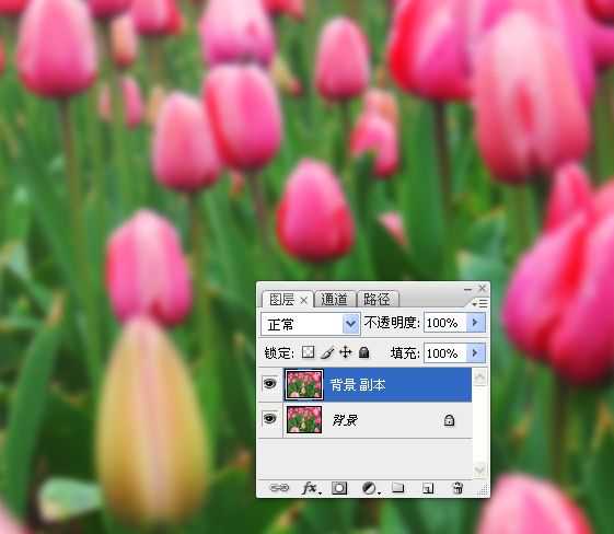 photoshop锐化技术知识学习