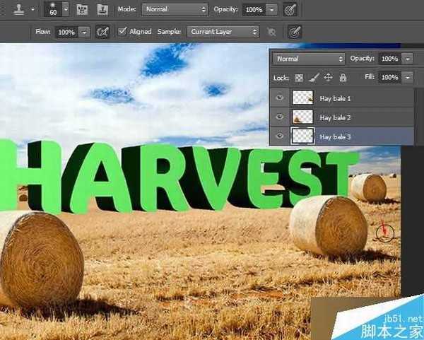 PS打造逼真的金灿灿的麦田草堆3D立体文字效果