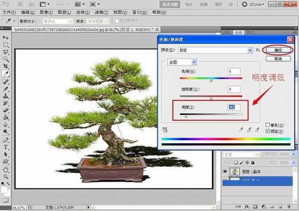 Photoshop制作逼真的盆景倒影