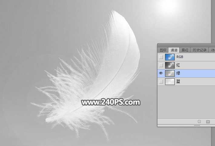 PS怎么抠羽毛？PS巧用通道工具快速抠出洁白的羽毛教程