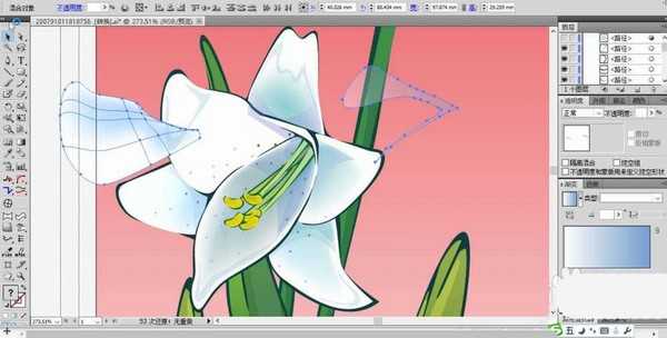 ai怎么画矢量的百合花素材?
