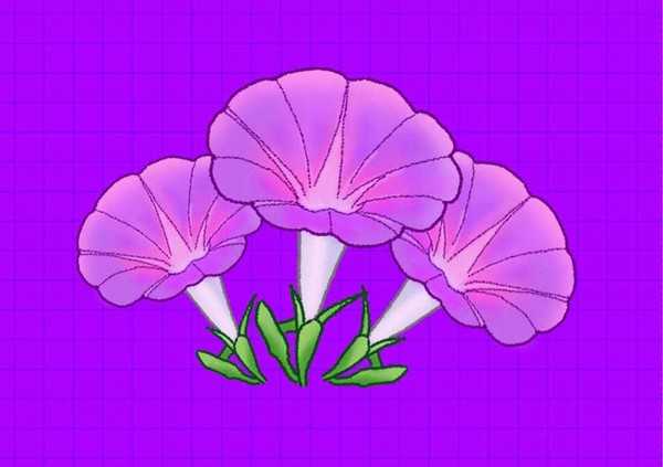 PS怎么守护逼真的牵牛花插画? ps画牵牛花的教程